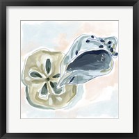 Shell Melody I Framed Print