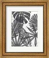 Framed Palm Shadows I