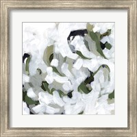 Framed Snow Lichen II