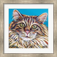 Framed High Society Cat I