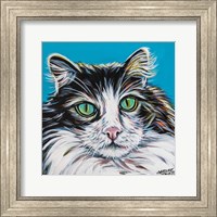 Framed High Society Cat II