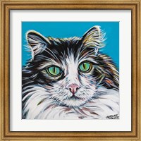 Framed High Society Cat II