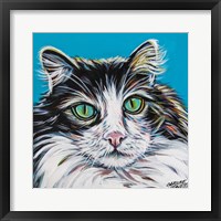 Framed High Society Cat II