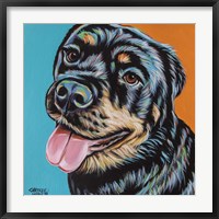 Framed Rottweiler I