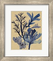 Framed Underwater Forest I