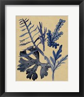 Framed 'Underwater Forest II' border=