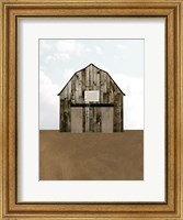 Framed Barn's Portrait IV