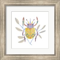 Framed Floral Beetles I