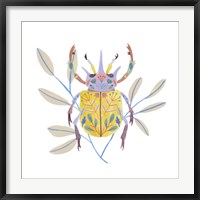 Framed Floral Beetles I