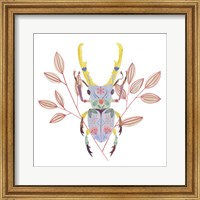 Framed Floral Beetles V