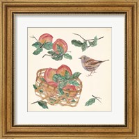 Framed 'Basket with Fruit II' border=