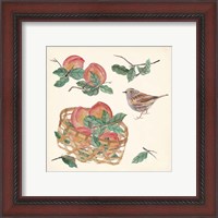 Framed 'Basket with Fruit II' border=