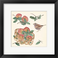 Framed 'Basket with Fruit II' border=