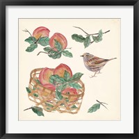 Framed Basket with Fruit II