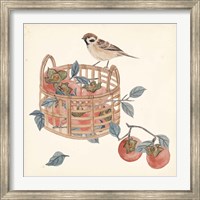 Framed Basket with Fruit IV