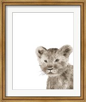 Framed Safari Animal Portraits I