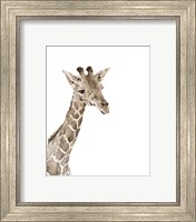 Framed 'Safari Animal Portraits II' border=