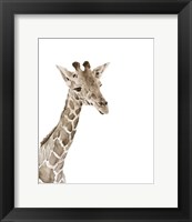 Framed Safari Animal Portraits II