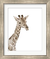 Framed 'Safari Animal Portraits II' border=