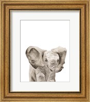 Framed Safari Animal Portraits III