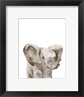 Framed 'Safari Animal Portraits III' border=
