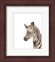 Framed 'Safari Animal Portraits IV' border=
