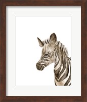 Framed 'Safari Animal Portraits IV' border=
