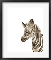 Framed Safari Animal Portraits IV