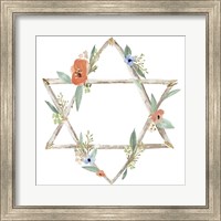 Framed Adorned Star I