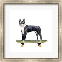 Framed Pups on Wheels IV