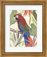 Framed Tropical Parrot Composition III