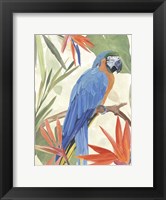 Framed Tropical Parrot Composition IV