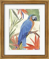 Framed Tropical Parrot Composition IV