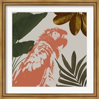 Framed Graphic Tropical Bird I