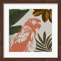 Framed Graphic Tropical Bird I