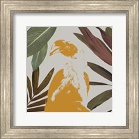 Framed Graphic Tropical Bird II