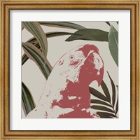 Framed Graphic Tropical Bird IV