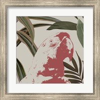 Framed Graphic Tropical Bird IV