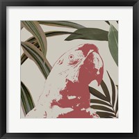 Graphic Tropical Bird IV Framed Print
