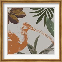Framed Graphic Tropical Bird VI
