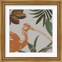 Framed 'Graphic Tropical Bird VI' border=