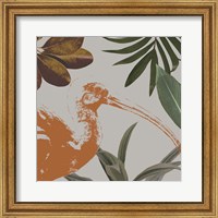 Framed 'Graphic Tropical Bird VI' border=