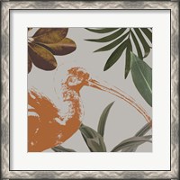 Framed Graphic Tropical Bird VI