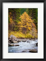 Framed Autumn Across The River
