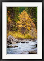 Framed Autumn Across The River