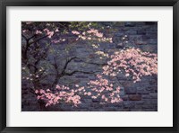 Framed Dogwood in Pink