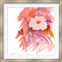 Framed Coral Rose