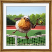 Framed Round Robin