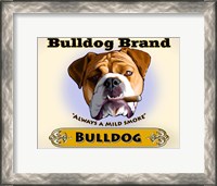 Framed Bulldog Cigar