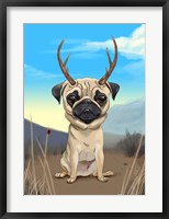 Framed Pugalope